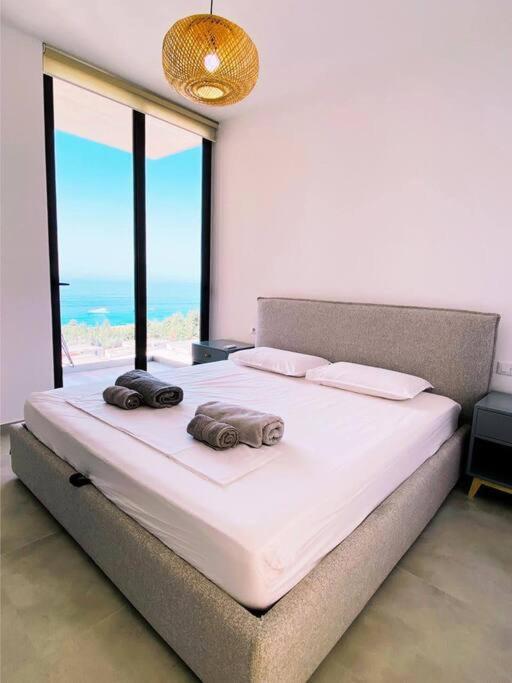 Penthouse Olea Dhermi Appartement